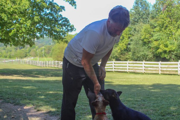 Dave Taylor training canines at Cedar Valley Canine