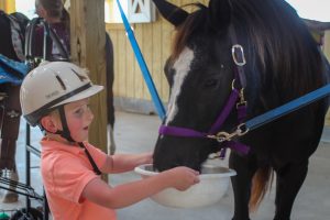 Feeding My Horse at Grace Rides Horse Therapy