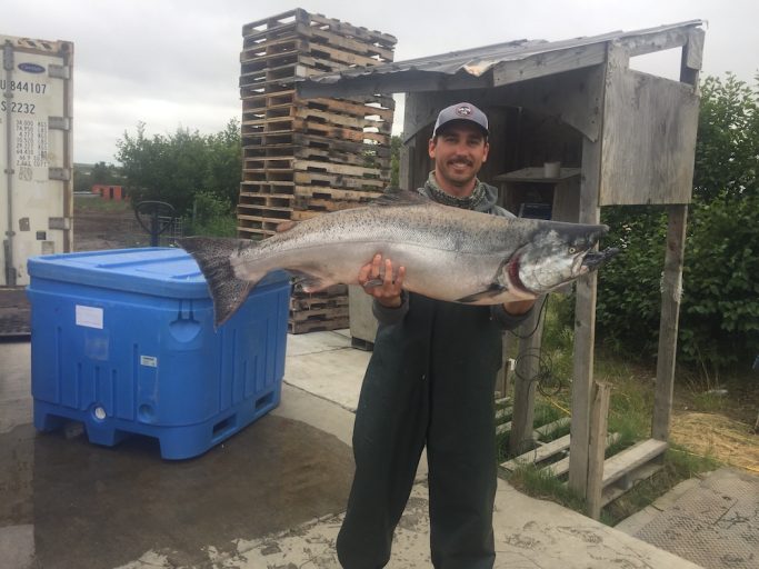 salmon fishing and processing