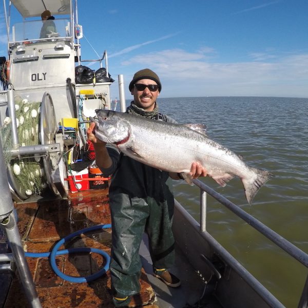 salmon fishing in bristol bay alaska