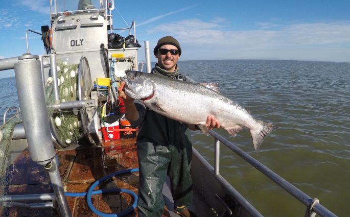 salmon fishing in bristol bay alaska