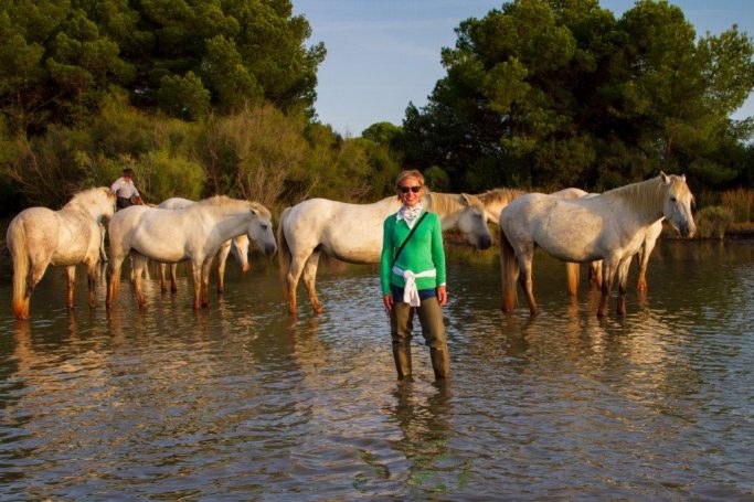 Gardian Camargue