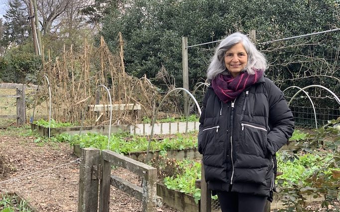 Judy Wright - Judy's Chickens - A Master Gardener
